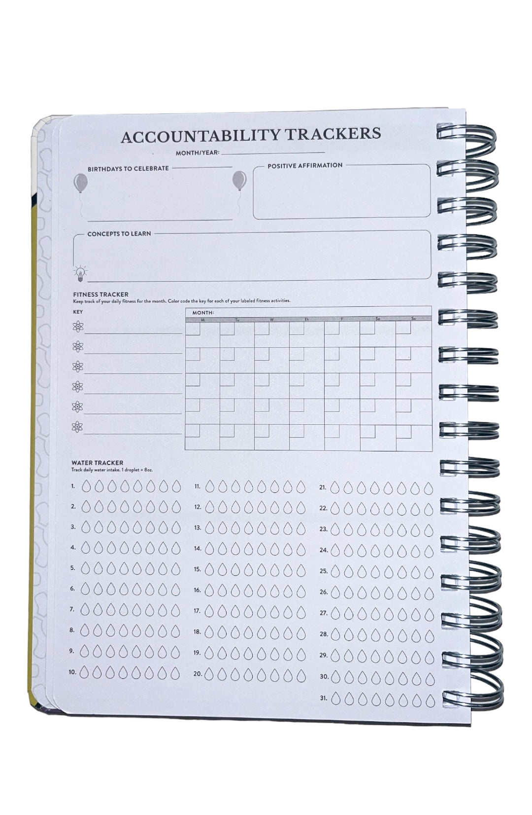 SWE Planner