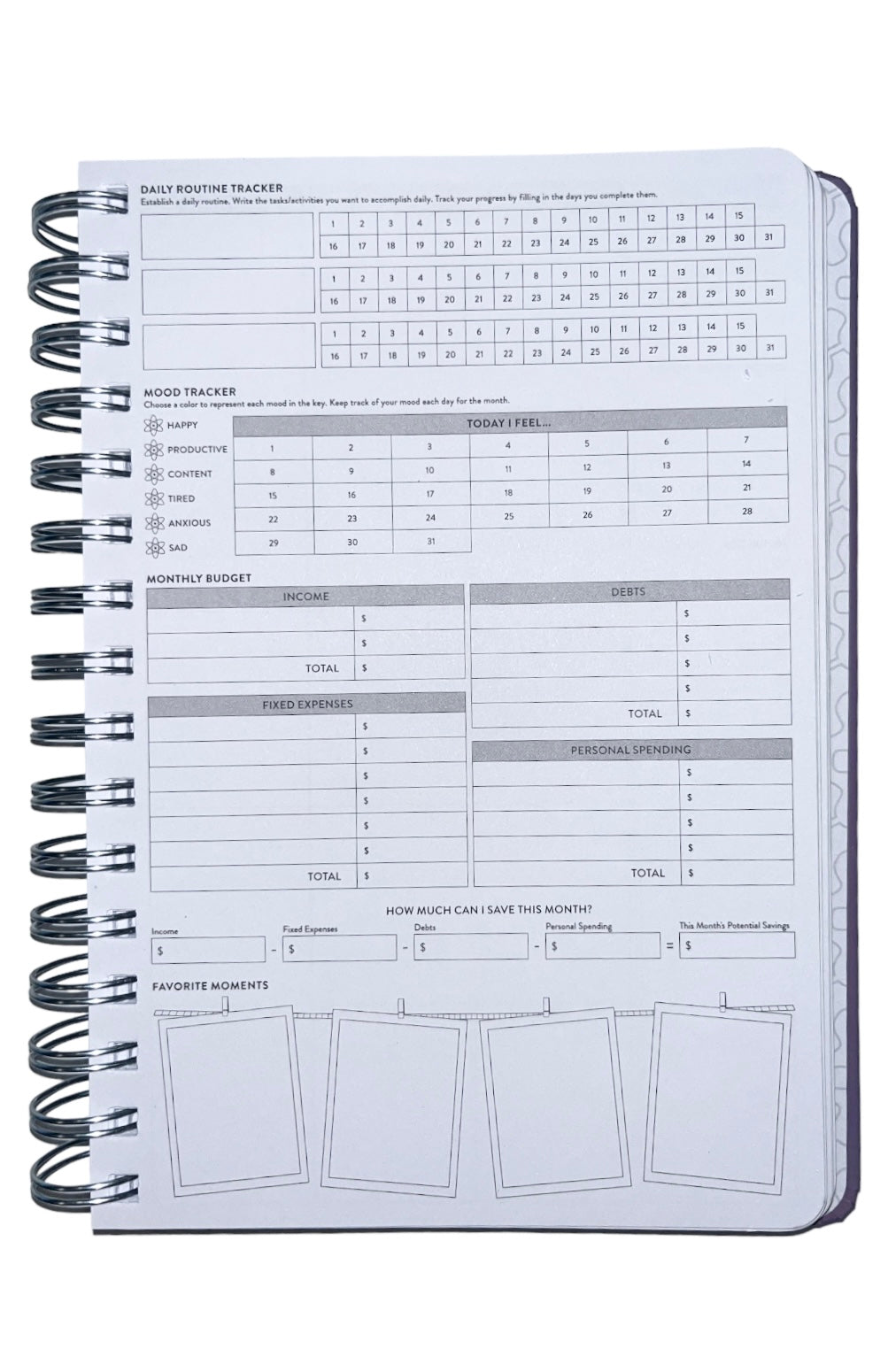 SWE Planner