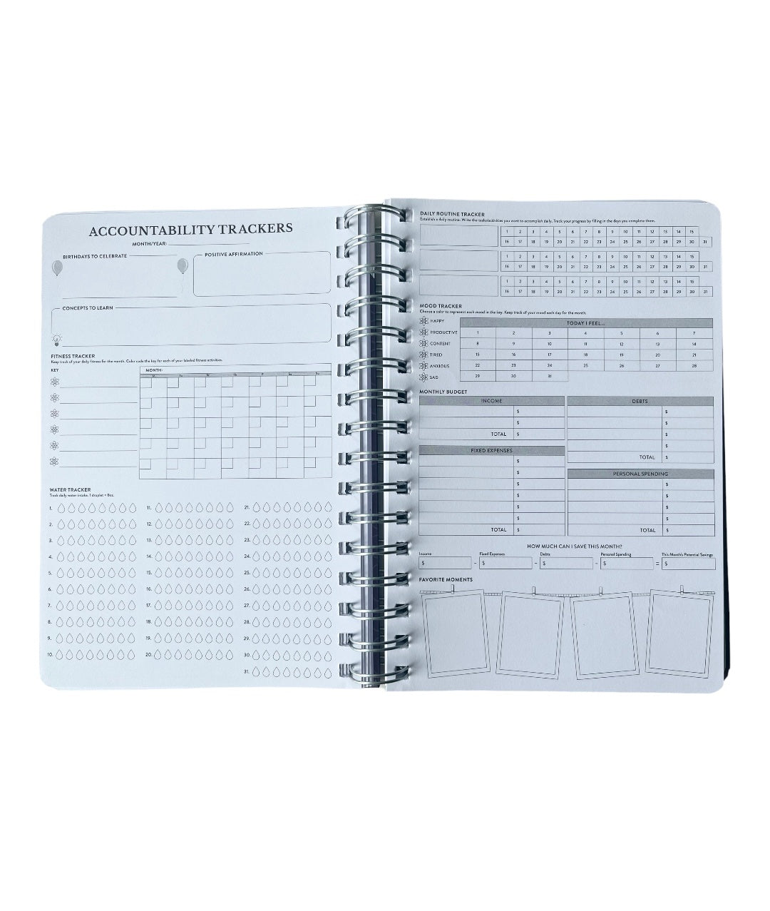 SWE Planner